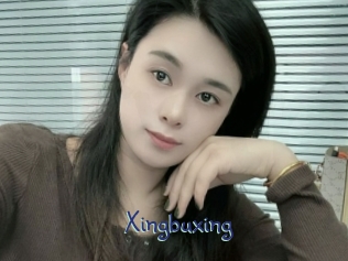 Xingbuxing