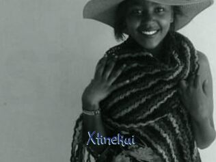 Xtinekui