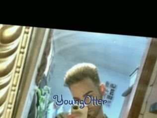 YoungOtter Stripx