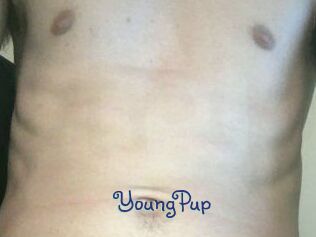 YoungPup