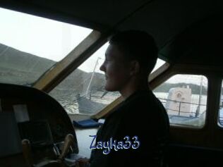 Zayka33
