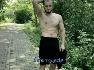 Zefs_muscle