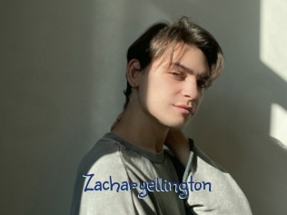 zacharyellington Stripx
