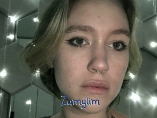 zumylim Stripx